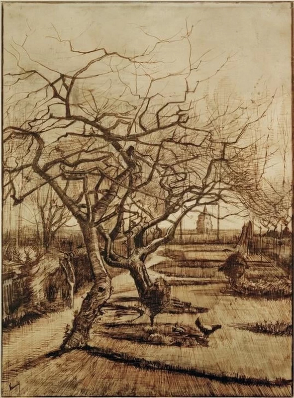95-Vincent van Gogh-Il giardino della canonica a Nuenen, 1884 - Budapest, Szepmüveszeti Muzeum  